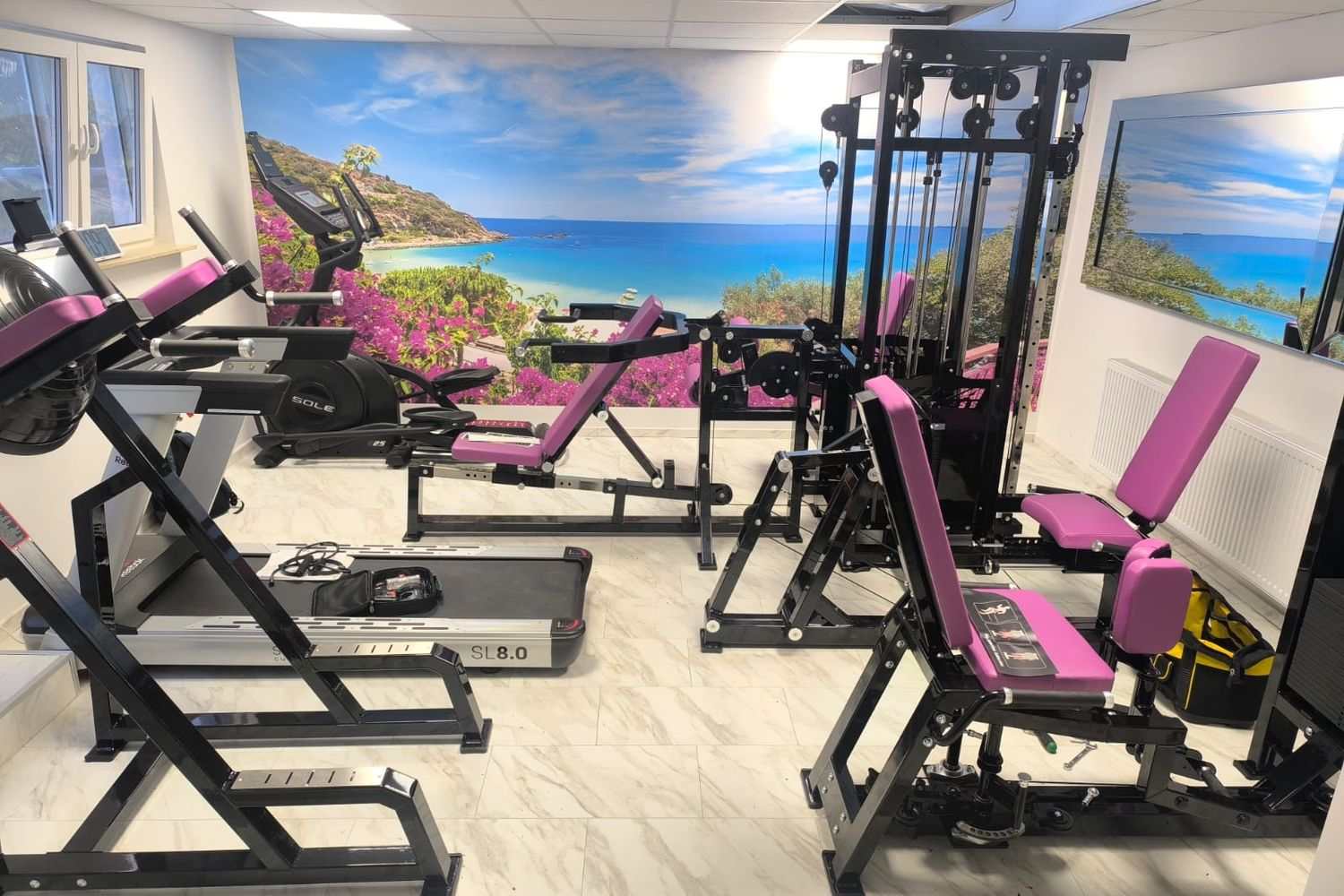 Petit studio privé avec presse à cuisses, poulie, tapis de course et garnitures roses