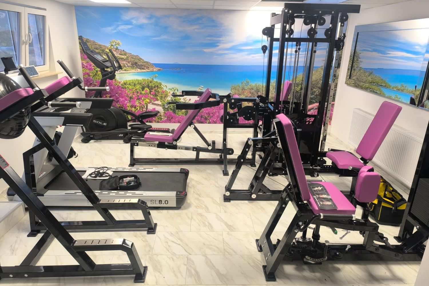 Small private studio with a leg press, cable station, treadmill and pink upholstery
